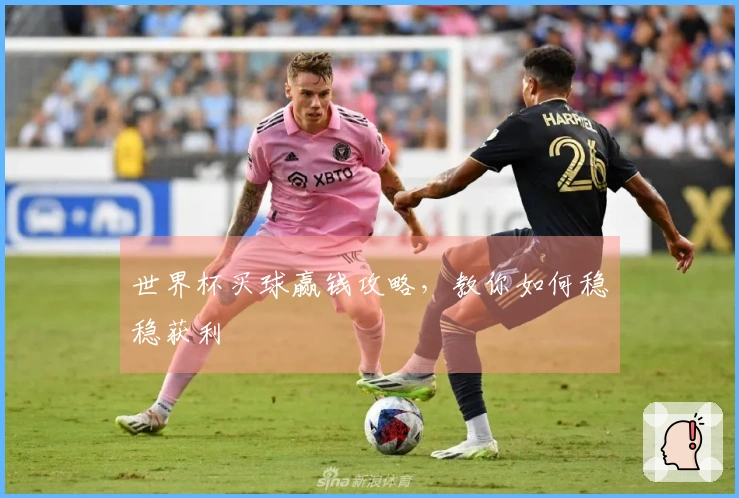 世界杯买球赢钱攻略，教你如何稳稳获利
