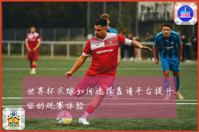 世界杯买球如何选择靠谱平台提升你的观赛体验