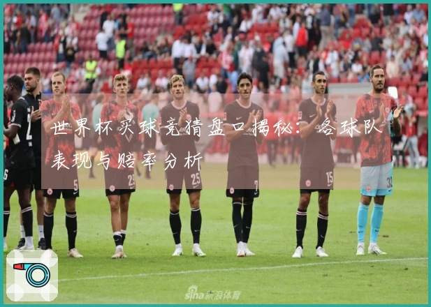 世界杯买球竞猜盘口揭秘：各球队表现与赔率分析