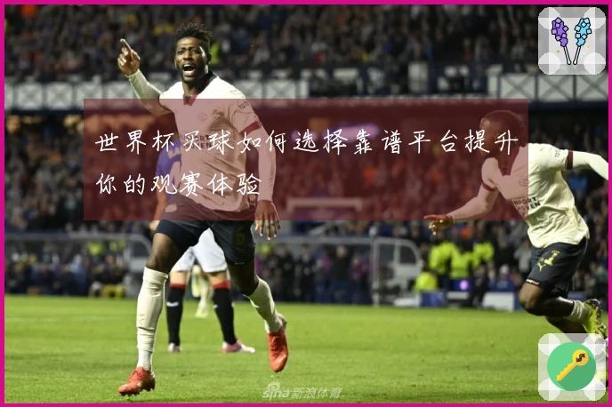 世界杯买球如何选择靠谱平台提升你的观赛体验